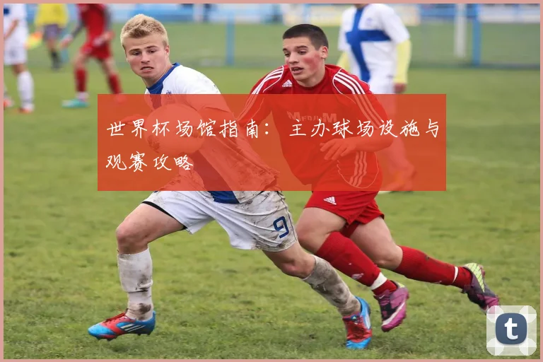 世界杯场馆指南:主办球场设施与观赛攻略