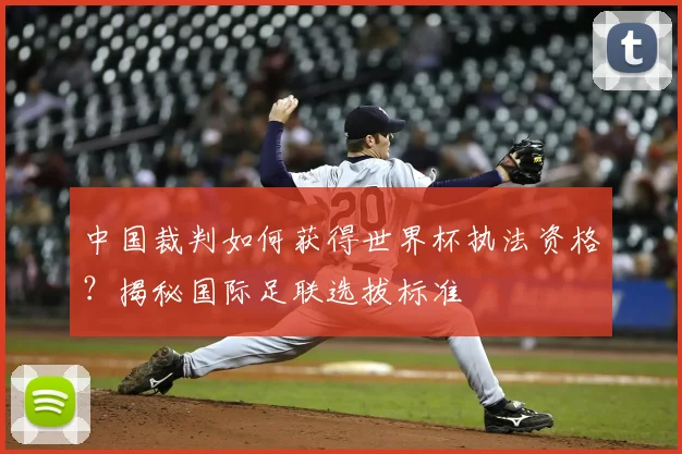 中国裁判如何获得世界杯执法资格？揭秘国际足联选拔标准